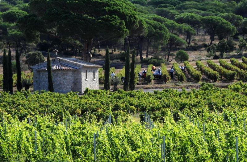 La Bastide Du Clos Des Roses - Teritoria Fréjus Exterior foto